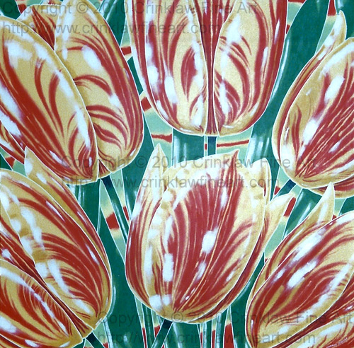Painted Tulips.